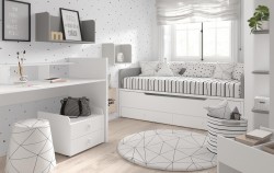 BI-CAMA PLUS